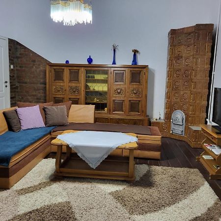 Casa Victoria Apartment Targu Mures Ngoại thất bức ảnh