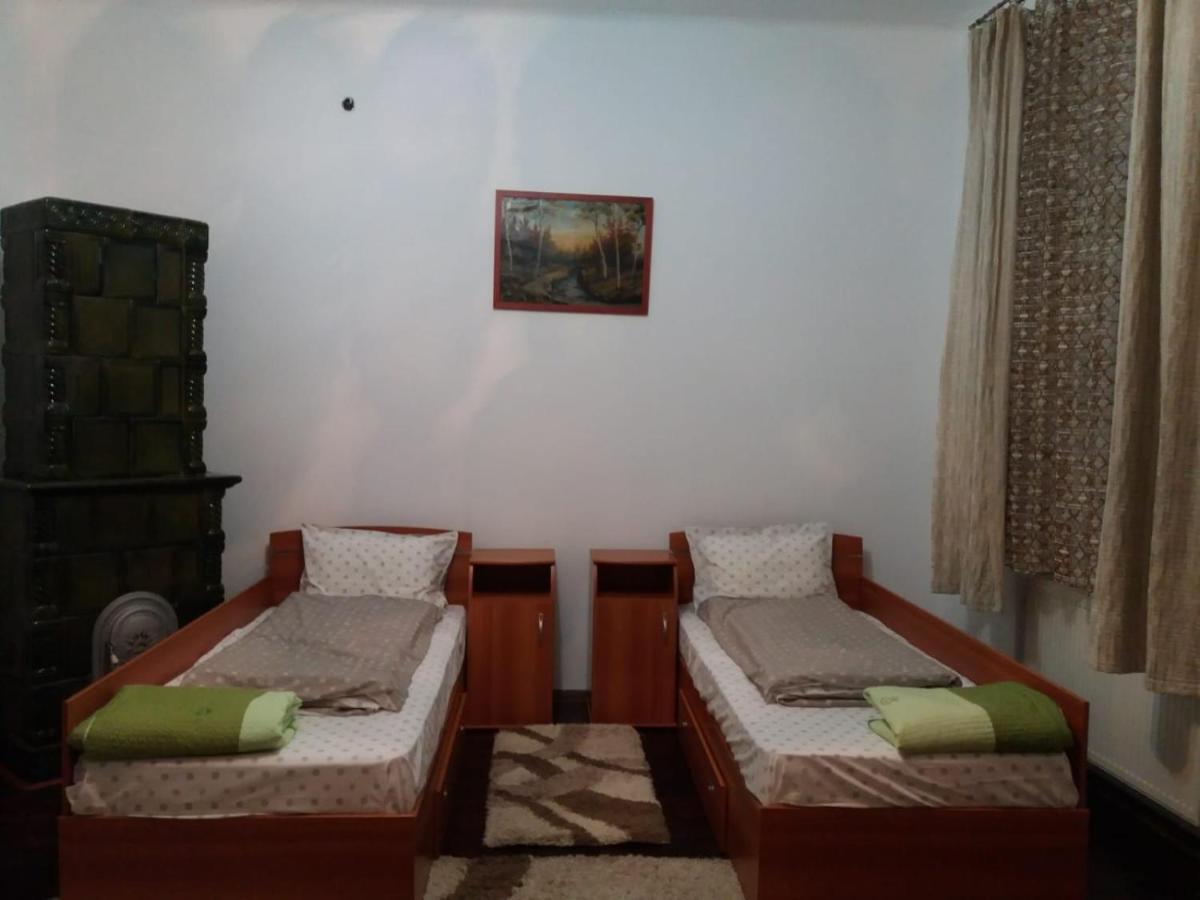 Casa Victoria Apartment Targu Mures Ngoại thất bức ảnh
