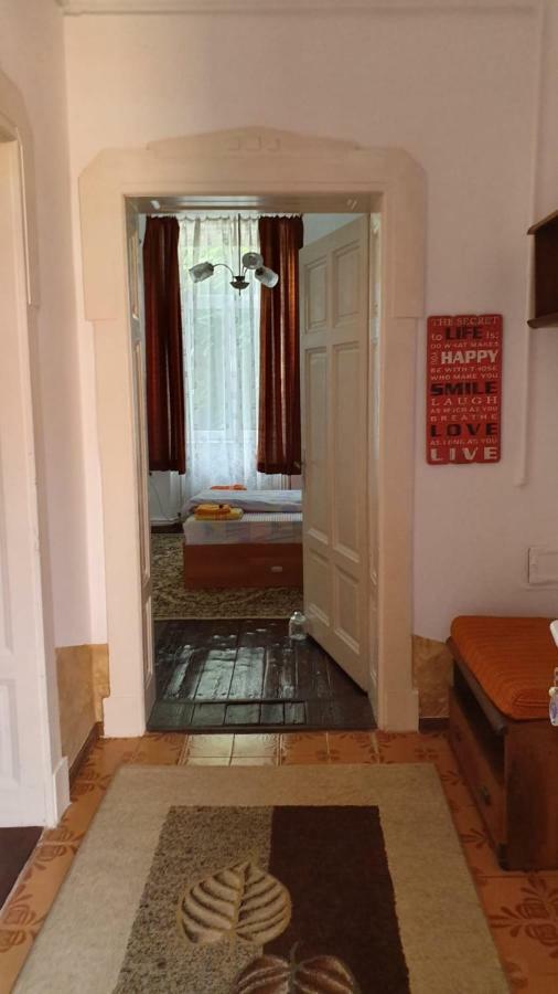 Casa Victoria Apartment Targu Mures Ngoại thất bức ảnh