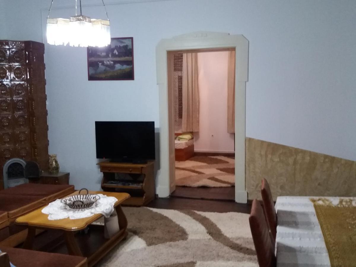 Casa Victoria Apartment Targu Mures Ngoại thất bức ảnh